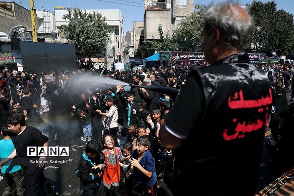 پیاده‌روی جاماندگان اربعین-تهران /3