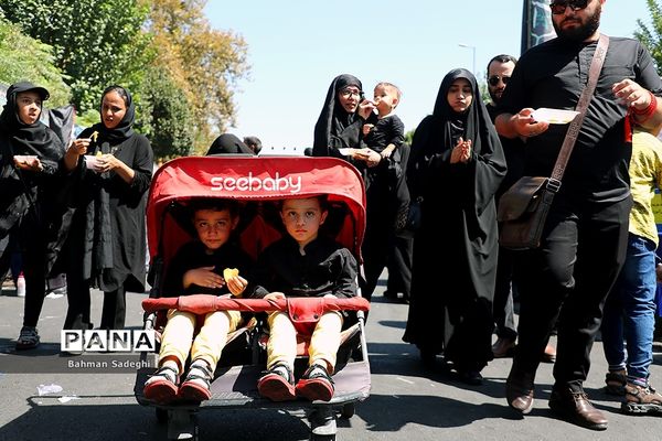 پیاده‌روی جاماندگان اربعین-تهران /3