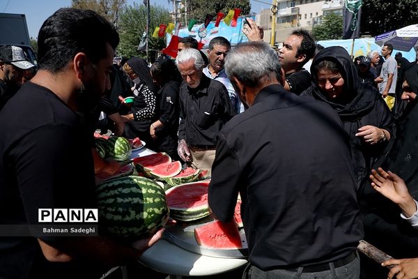 پیاده‌روی جاماندگان اربعین-تهران /3