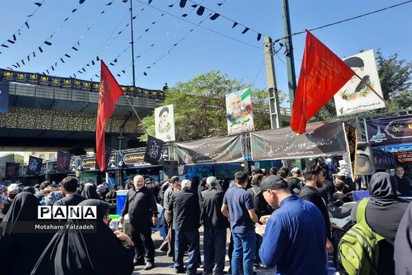 جاماندگان اربعین درحال حرکت به سمت حرم حضرت عبدالعظیم حسنی (ع)