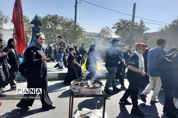 جاماندگان اربعین درحال حرکت به سمت حرم حضرت عبدالعظیم حسنی (ع)
