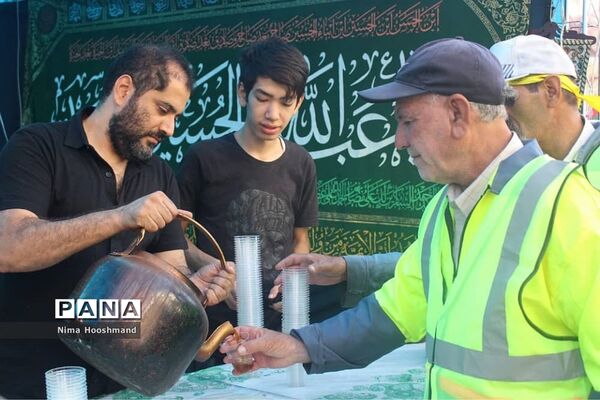 پیاده‌روی جاماندگان اربعین حسینی در شهرری