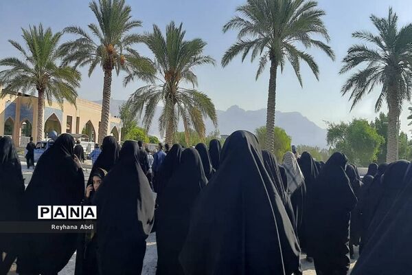 پیاده‌روی جاماندگان اربعین در اهرم تنگستان