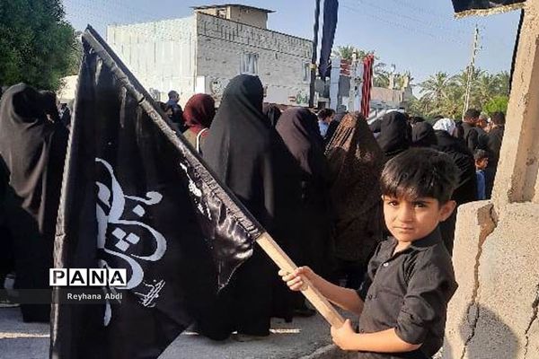 پیاده‌روی جاماندگان اربعین در اهرم تنگستان