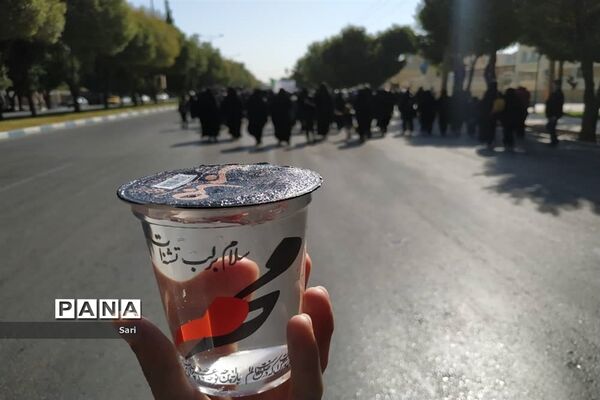 پیاده‌روی جاماندگان اربعین در شهرستان شاهین شهر