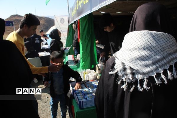 موکب فرزندان حاج قاسم زنجان در پیاده‌روی جاماندگان اربعین حسینی