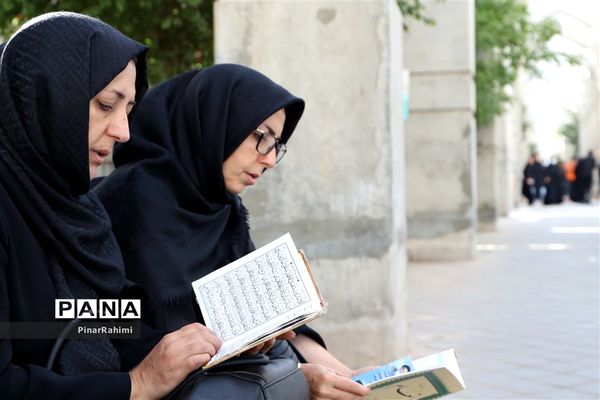 جاماندگان مسیر عشق -۲