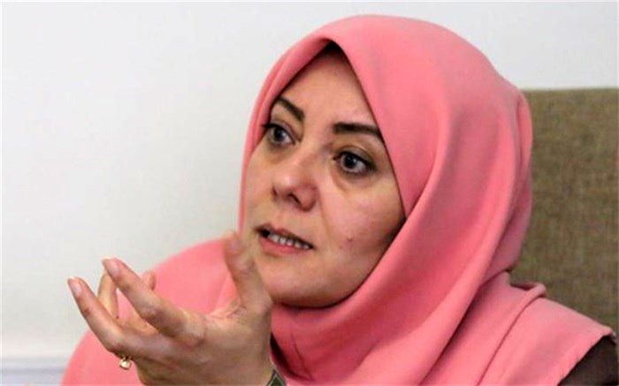 بازتعریف دیپلماسی اقتصادی با اعتقاد به بخش خصوصی