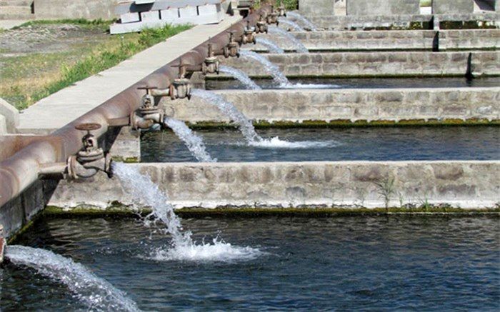 راه‌اندازی استخر پرورش ماهی توسط مددجوی کمیته امداد