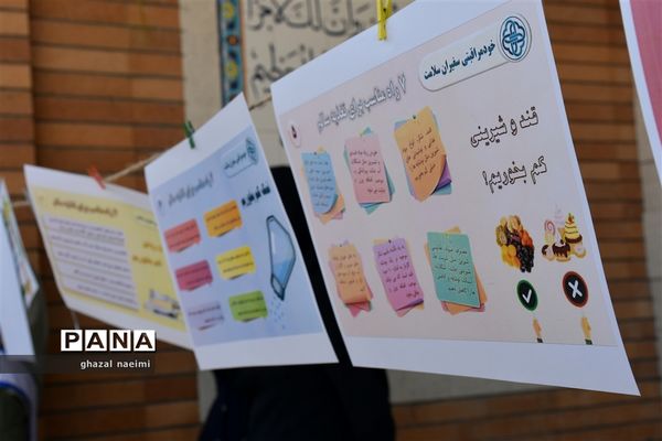 آیین افتتاحیه جشنواره سفیران سلامت در دبستان حاج اکبر صدیقی گله‌دار استان فارس