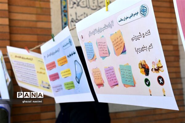 آیین افتتاحیه جشنواره سفیران سلامت در دبستان حاج اکبر صدیقی گله‌دار استان فارس