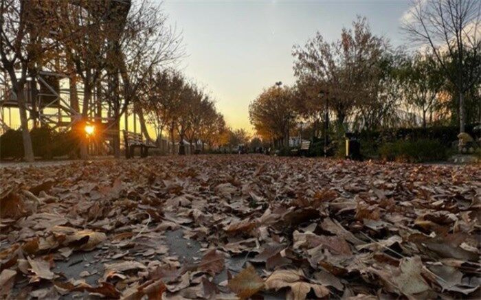 در گذر پاییزی دریاچه شهدای خلیج فارس؛ پاییز را ورق بزنید