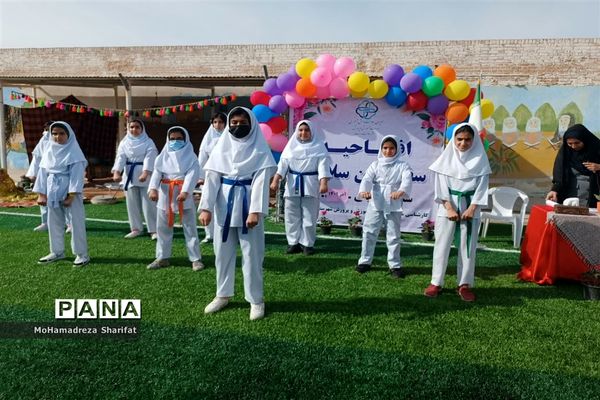 آیین افتتاحیه سفیران سلامت در امیدیه