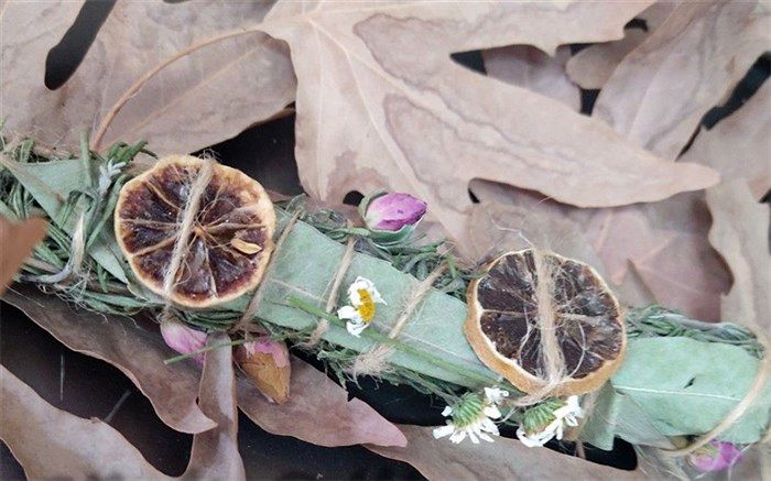 کسب رتبه سوم استانی در جشنواره خوارزمی، برای ساخت عود گیاهی توسط دانش‌آموزان جوادآباد