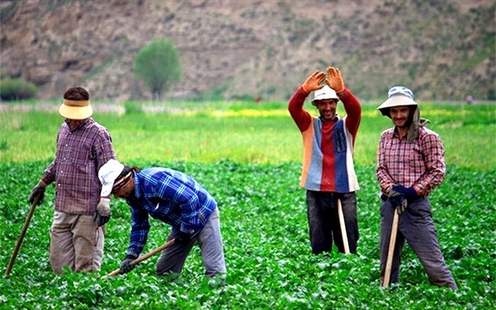 تلاش دولت برای تسریع در پرداخت تسهیلات به کسب‌وکارهای روستایی از صندوق توسعه ملی