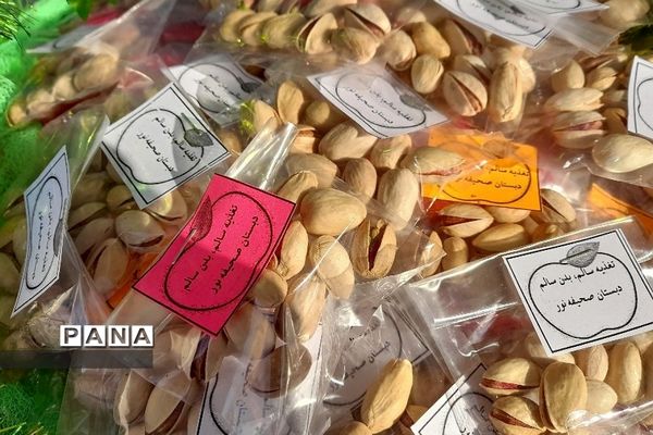 پویش تغذیه سالم، بدن سالم