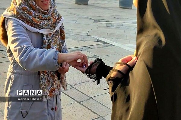 اجرای طرح حریر حیا در حرم سید علاءالدین شیراز