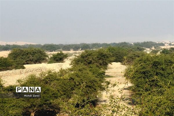 طبیعت زیبای بند ریگ فراشبند