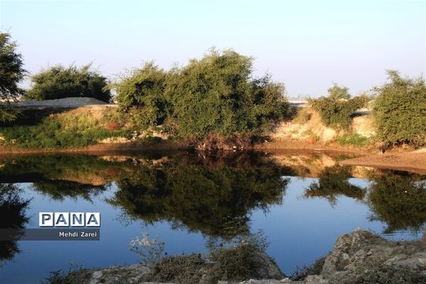 طبیعت زیبای بند ریگ فراشبند
