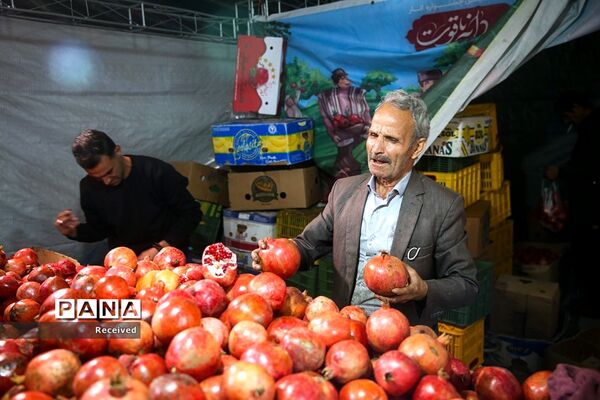 جشنواره «صد دانه یاقوت»