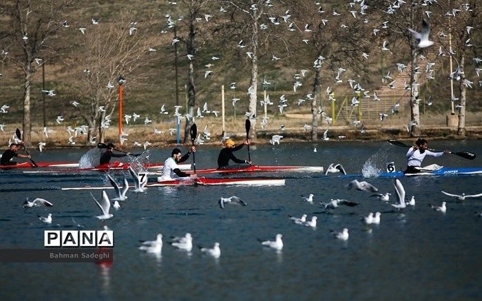 ٣ مدال طلا  قایقرانی ایران از مسابقات قهرمانی آسیا