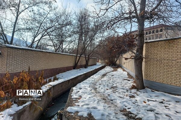 طبیعت برفی دماوند