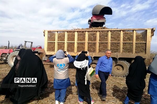 اردوی راهیان پیشرفت با هدف آشنایی نسل نوجوان با دستاوردهای علمی و انقلاب اسلامی در خوزستان