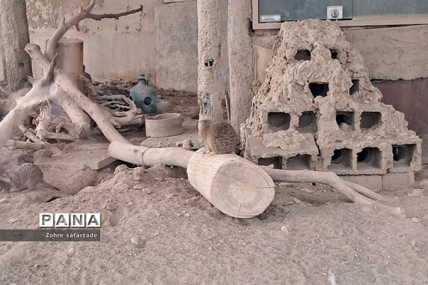 باغ وحش ارم در یک روز تعطیل  پاییزی