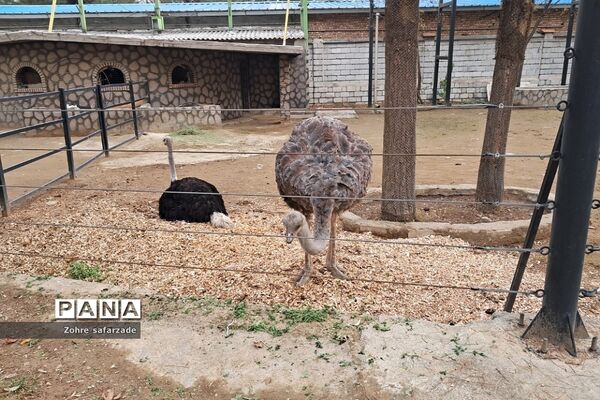 باغ وحش ارم در یک روز تعطیل  پاییزی