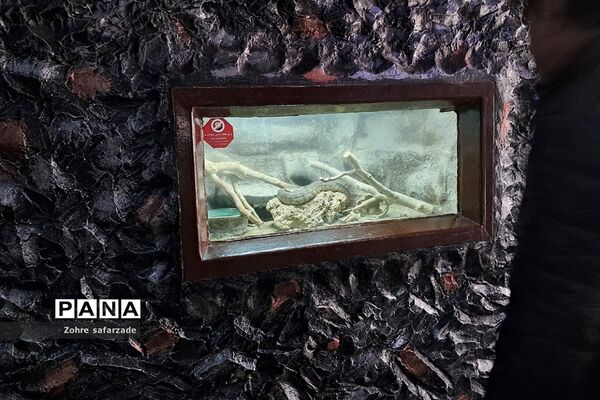 باغ وحش ارم در یک روز تعطیل  پاییزی