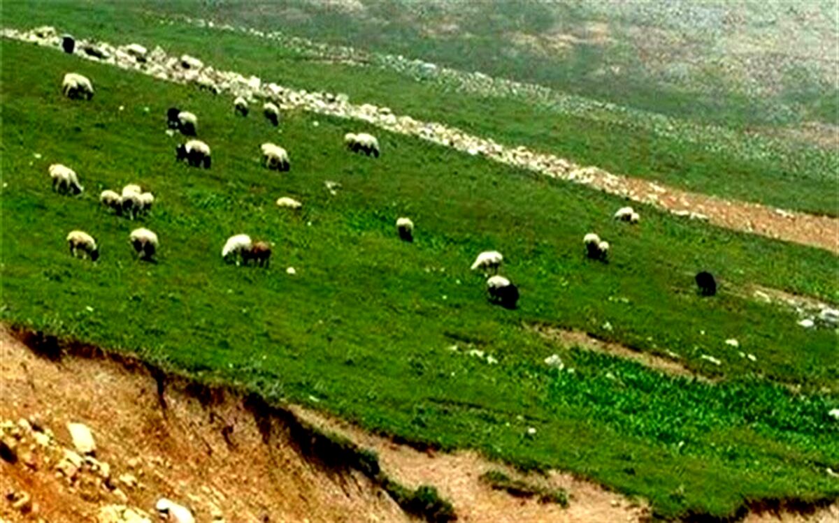 پیش‌بینی اصلاح و احیای ۱۰۱ هزار هکتار اراضی مرتعی کشور