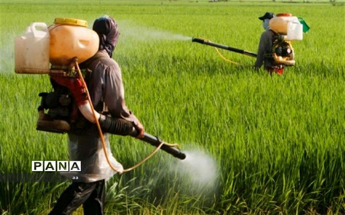 سموم کشاورزی بر اساس استانداردهای فائو تولید می‌شود