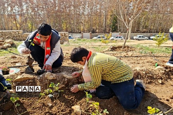 آیین نکوداشت روز جهانی خاک در شیراز