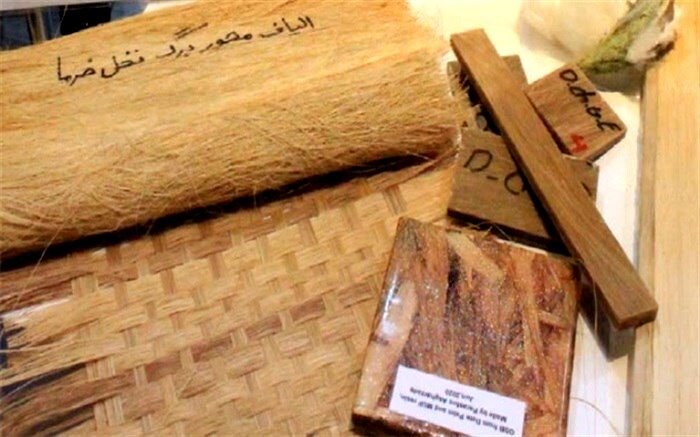 کامپوزیت پیشرفته از بقایای درخت نخل خرما تولید شد