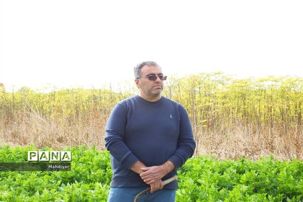 بازدید از مزرعه کرفس شهر جوادآباد