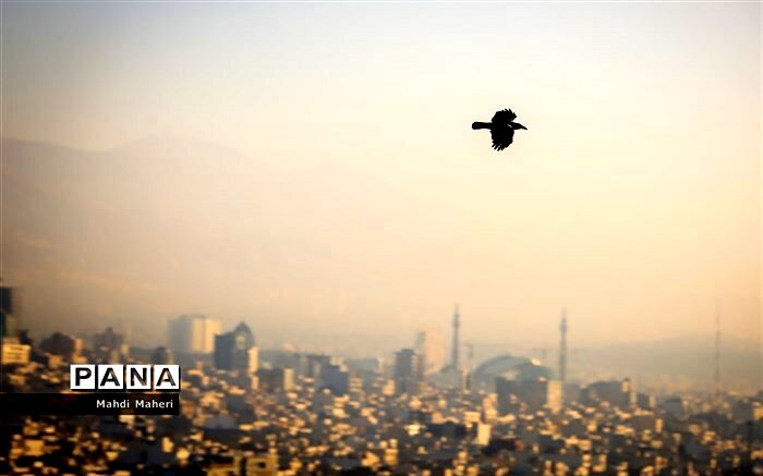 جزئیات غیرحضوری شدن برخی مدارس مشهد به دلیل آلودگی هوا