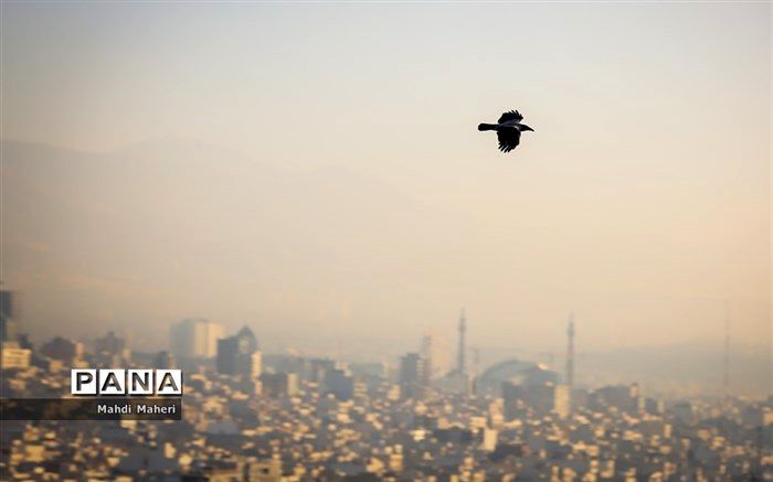 جزئیات غیرحضوری شدن برخی مدارس مشهد به دلیل آلودگی هوا