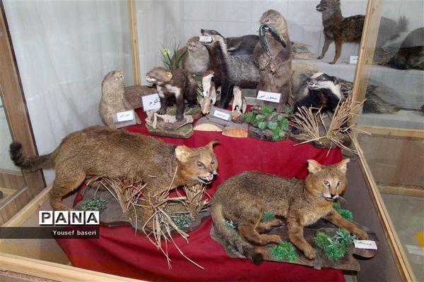 سفر یک روزه رئیس سازمان دانش‌آموزی استان یزد به بهاباد