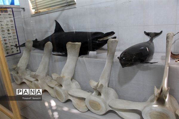 سفر یک روزه رئیس سازمان دانش‌آموزی استان یزد به بهاباد