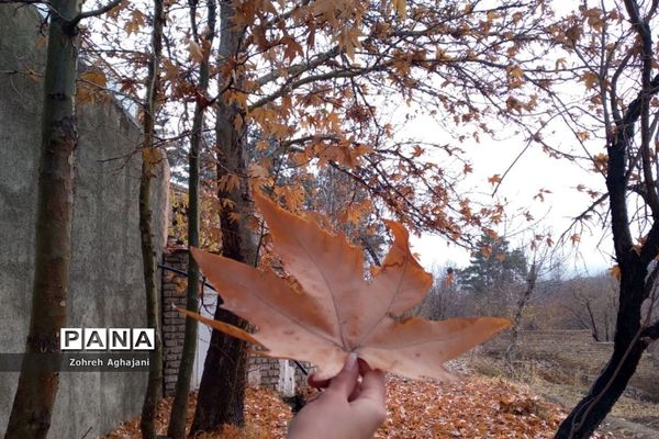 آخرین روزهای پاییزی در روستای بیدهند قم