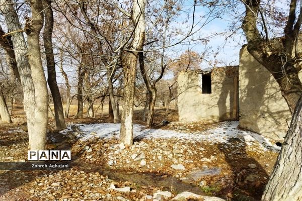 آخرین روزهای پاییزی در روستای بیدهند قم