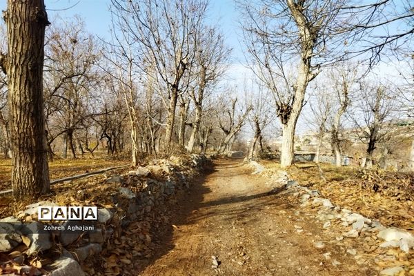 آخرین روزهای پاییزی در روستای بیدهند قم