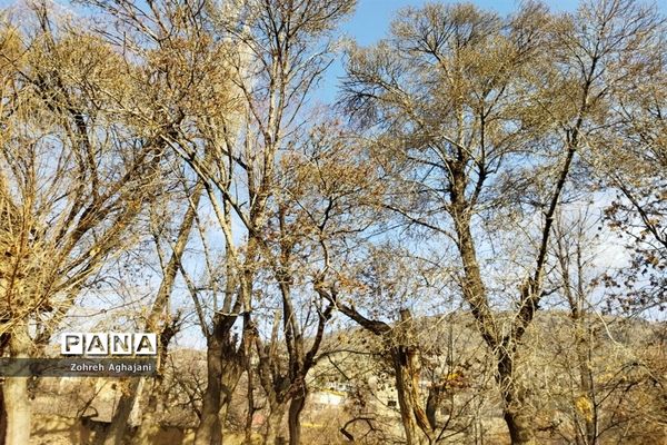 آخرین روزهای پاییزی در روستای بیدهند قم