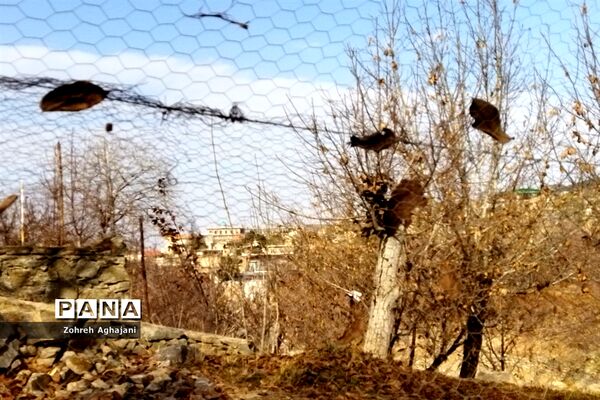 آخرین روزهای پاییزی در روستای بیدهند قم