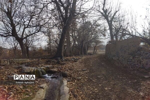 آخرین روزهای پاییزی در روستای بیدهند قم