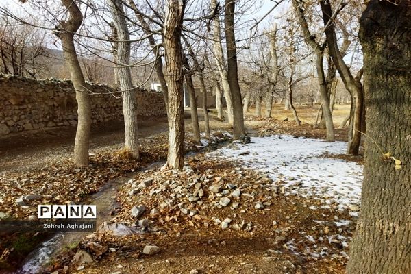 آخرین روزهای پاییزی در روستای بیدهند قم