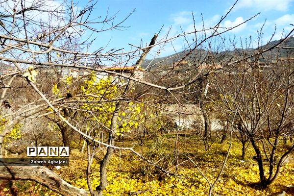 آخرین روزهای پاییزی در روستای بیدهند قم