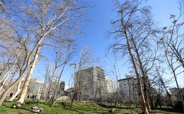 مخالف لایحه شهرداری تهران برای جایگزینی خانه باغ هستیم؛ تهیه طرح در شورای شهر