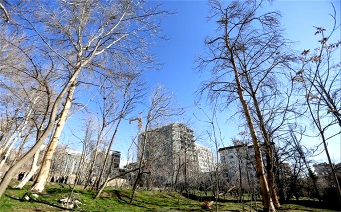 مخالف لایحه شهرداری تهران برای جایگزینی خانه باغ هستیم؛ تهیه طرح در شورای شهر