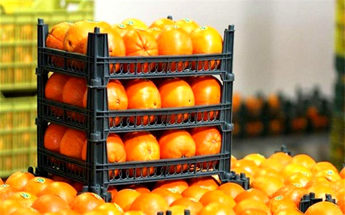 شکل تنظیم بازار میوه شب عید تغییر کرد